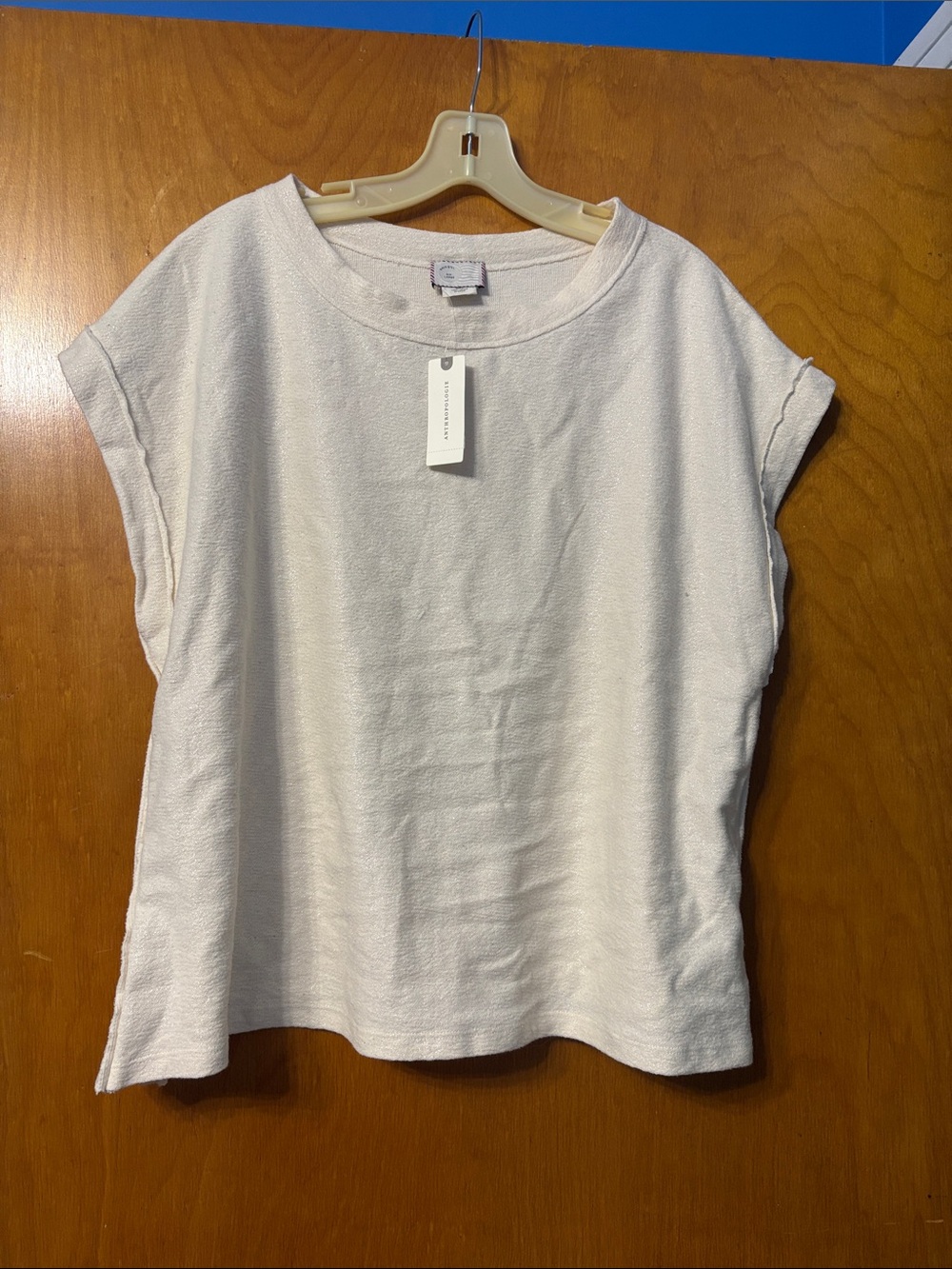 NWT Anthropologie Cream Shimmer Short-Sleeve Boxy Tee